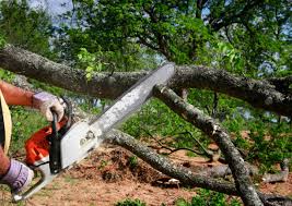 Best Lawn Grading and Leveling  in Lodi, OH